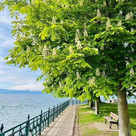 Sunshine Am Apartment Friedrichshafen