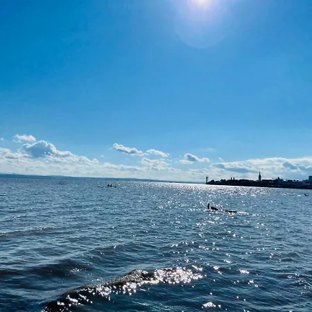 Sunshine Am